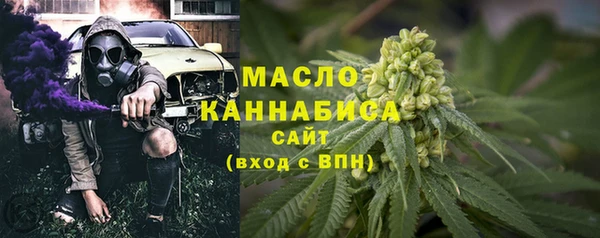 индика Беломорск